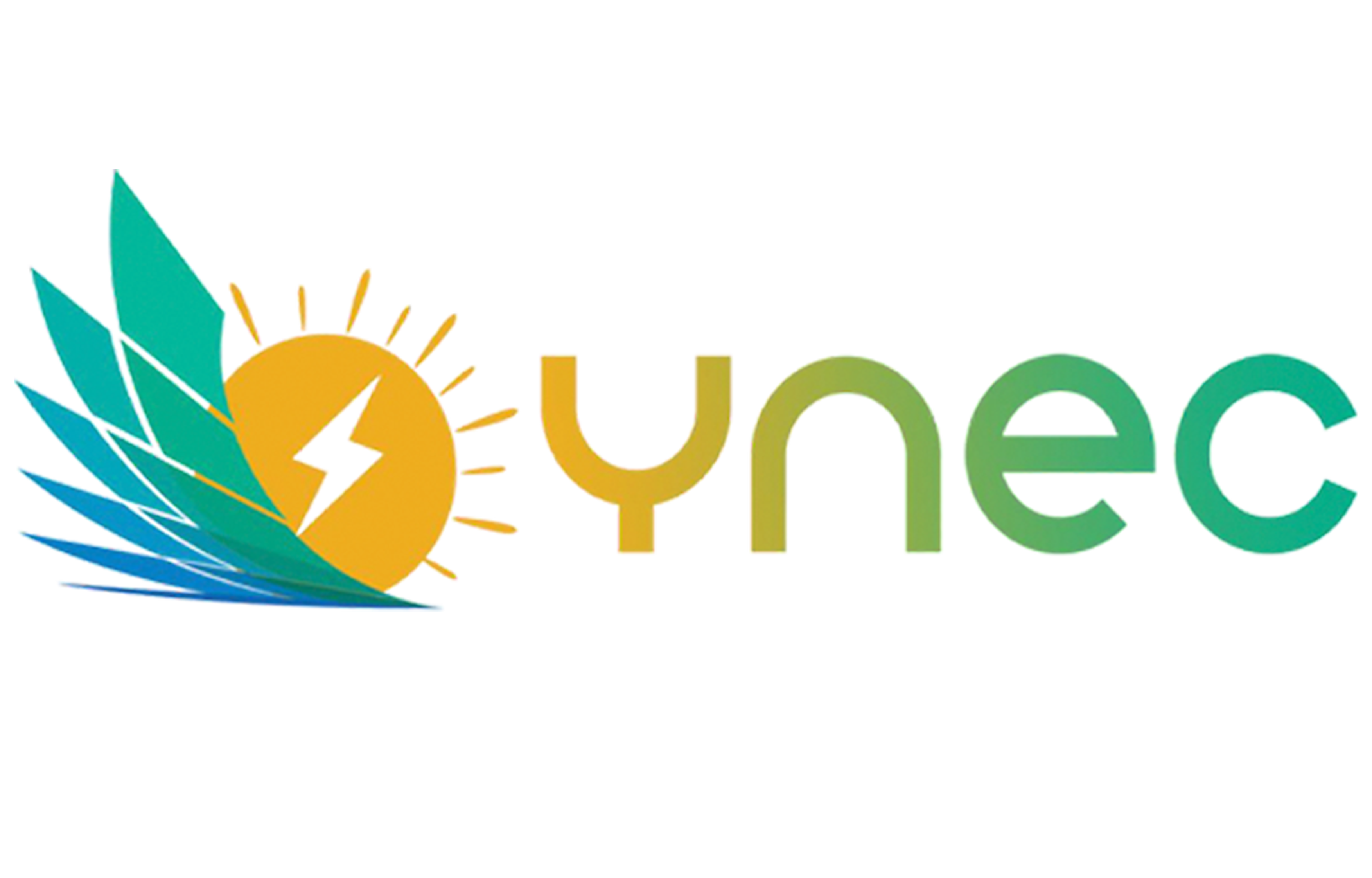 YNEC Logo
